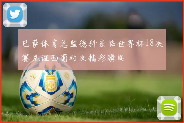 巴萨体育总监德科亲临世界杯18决赛见证西葡对决精彩瞬间