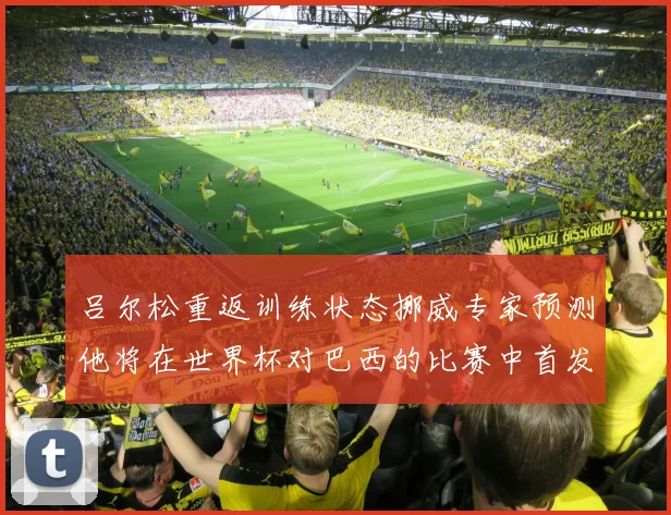 吕尔松重返训练状态挪威专家预测他将在世界杯对巴西的比赛中首发出战